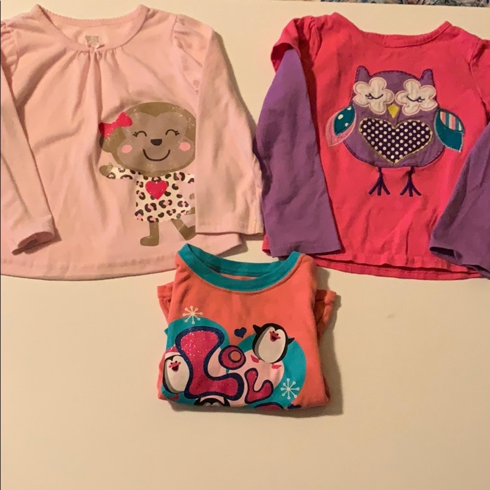 Set of toddler long sleeve shirts (girl)